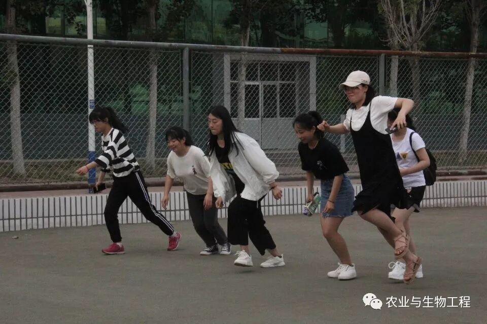 437ccm必赢国际官网