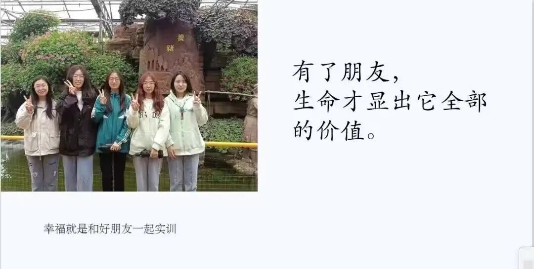 437ccm必赢国际官网